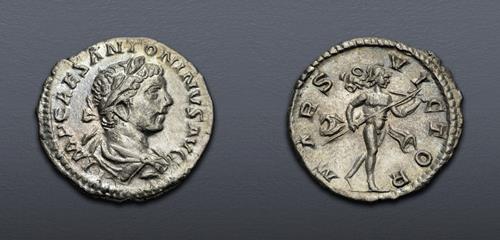 Lot 805 image