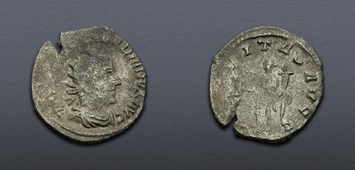 Lot 842 image