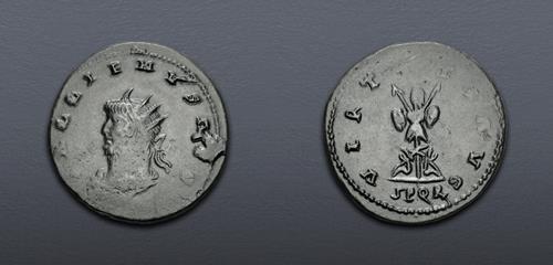 Lot 843 image