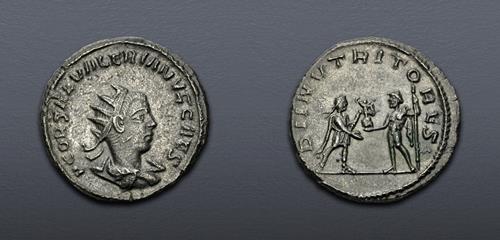 Lot 845 image