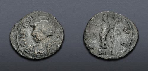 Lot 864 image