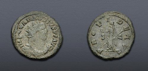 Lot 873 image