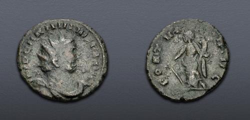 Lot 876 image
