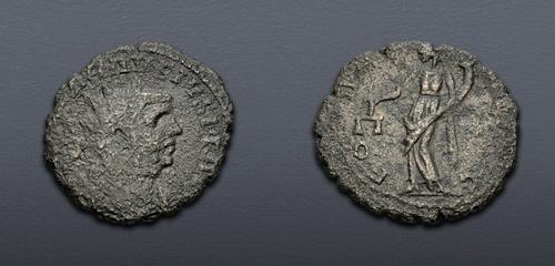 Lot 877 image