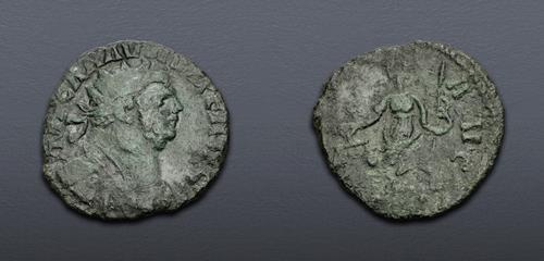 Lot 881 image