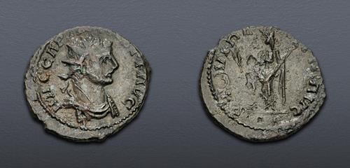 Lot 887 image