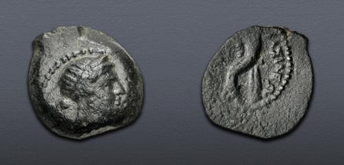 Lot 373 image
