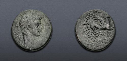 Lot 427 image