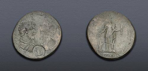 Lot 443 image