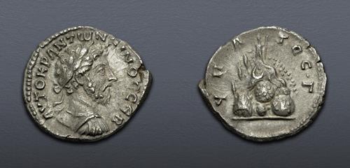 Lot 480 image