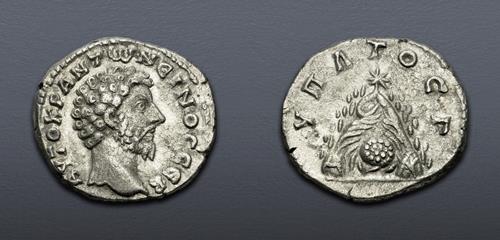 Lot 481 image