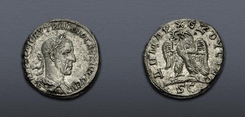 Lot 512 image