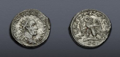 Lot 513 image