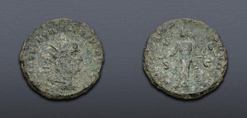Lot 515 image