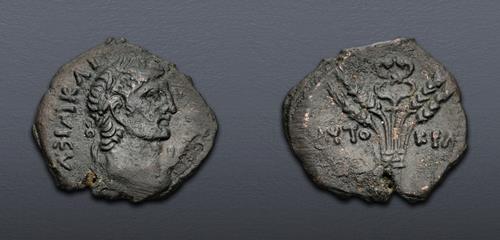 Lot 537 image