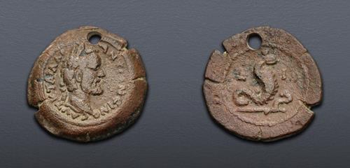 Lot 556 image