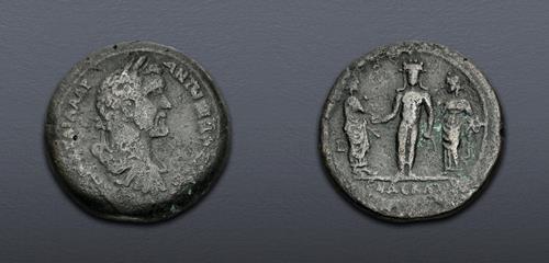 Lot 557 image
