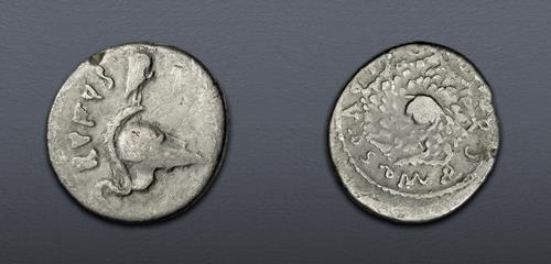 Lot 667 image