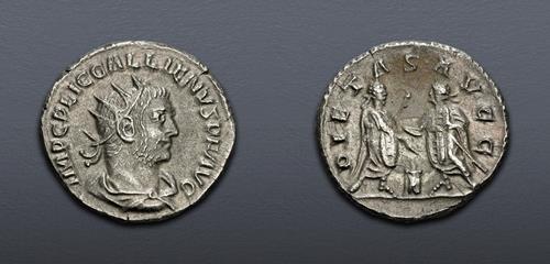 Lot 787 image