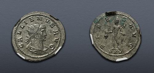 Lot 789 image