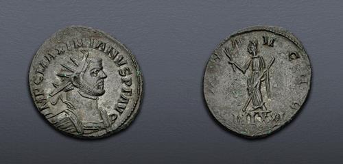 Lot 801 image