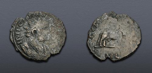 Lot 808 image
