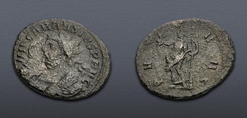 Lot 821 image