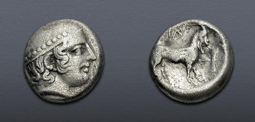 Lot 35 image