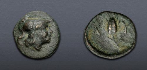 Lot 40 image