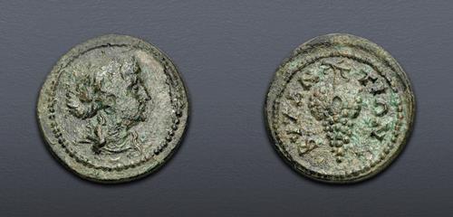 Lot 364 image