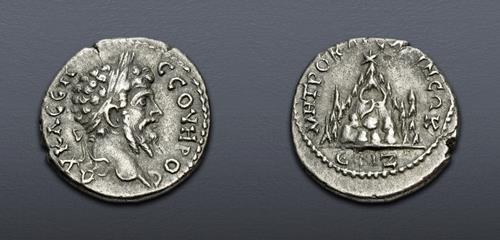 Lot 455 image