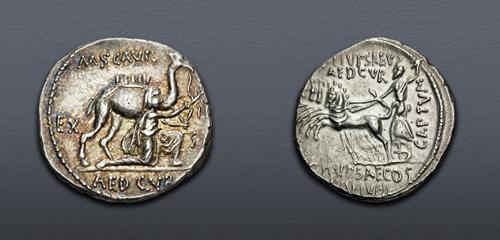 Lot 521 image