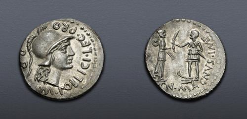 Lot 528 image