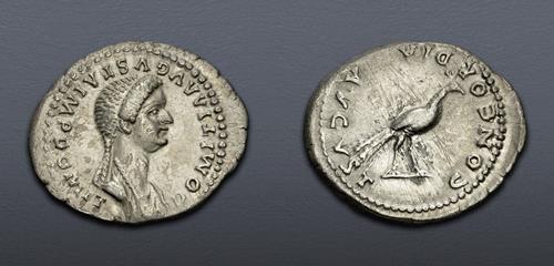 Lot 567 image