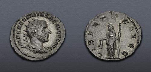 Lot 664 image