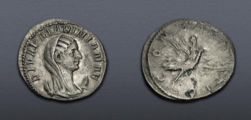 Lot 671 image