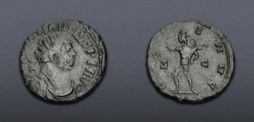 Lot 709 image