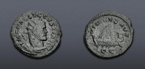 Lot 719 image