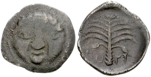 Image 0