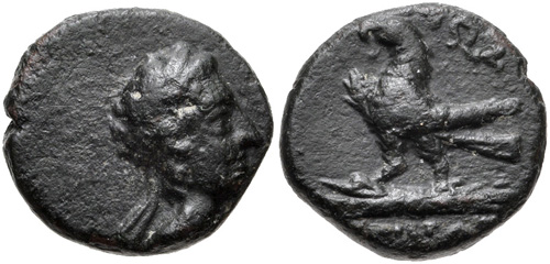 Image 0