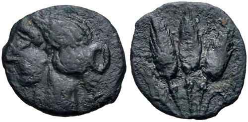 Image 0