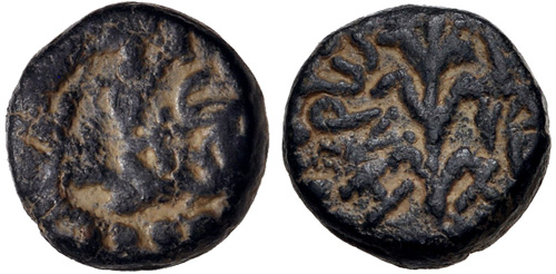 Image 0