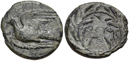 Image 0
