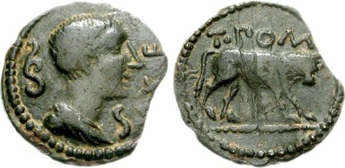 Cng Feature Auction Triton Xi Celtic Southern Gaul Uncertain Tribe T Pom Sex F Mid Late 1st Century Ae 16mm 1 67 G 6h